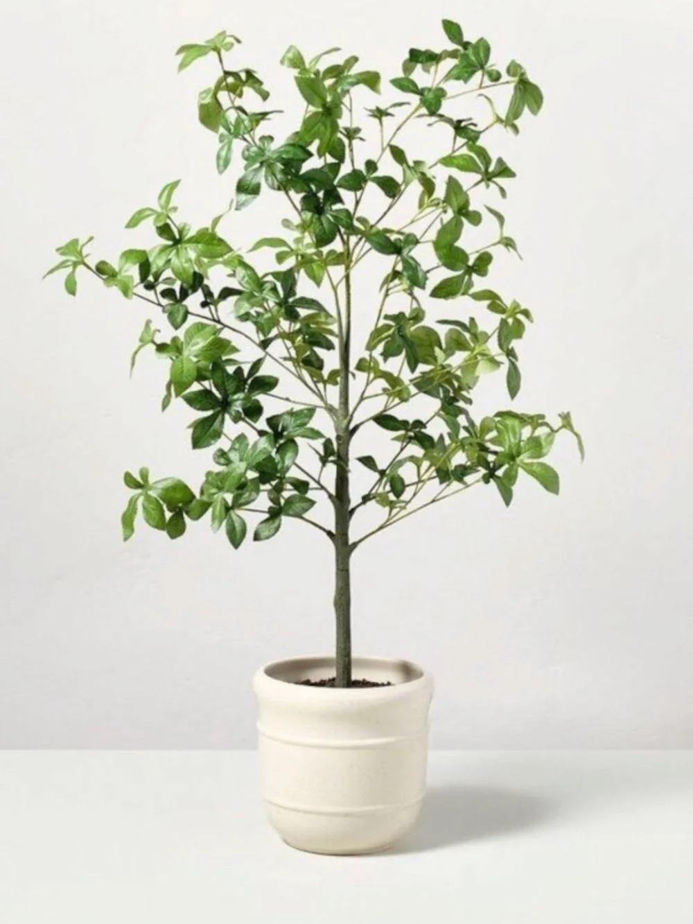 Hearth & Hand With Magnolia Faux Potted Gypsophila Leaf Tree 33